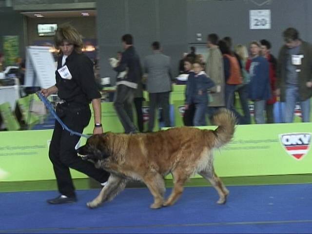 Salzburg Clubschau Mai 06 136 